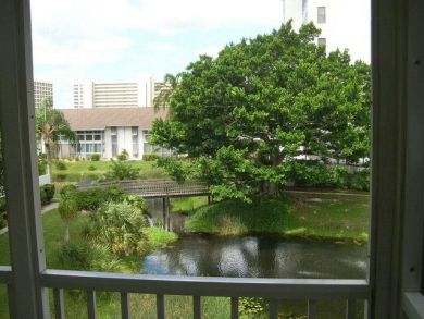 Tropical pond view from balcony